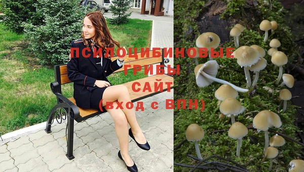 ECSTASY Верея
