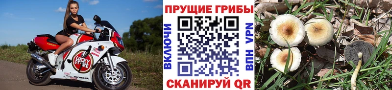 Псилоцибиновые грибы MAGIC MUSHROOMS  MEGA   Игарка 
