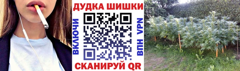 Канабис MAZAR  Игарка 